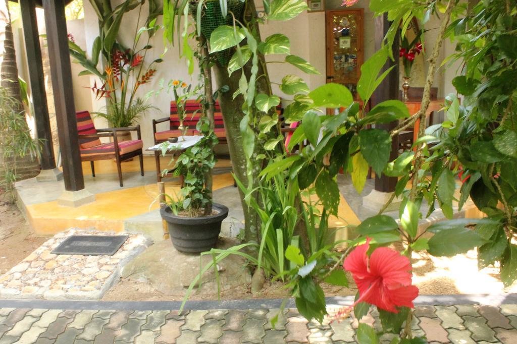 אונה ואטונה Dionis Villa מראה חיצוני תמונה