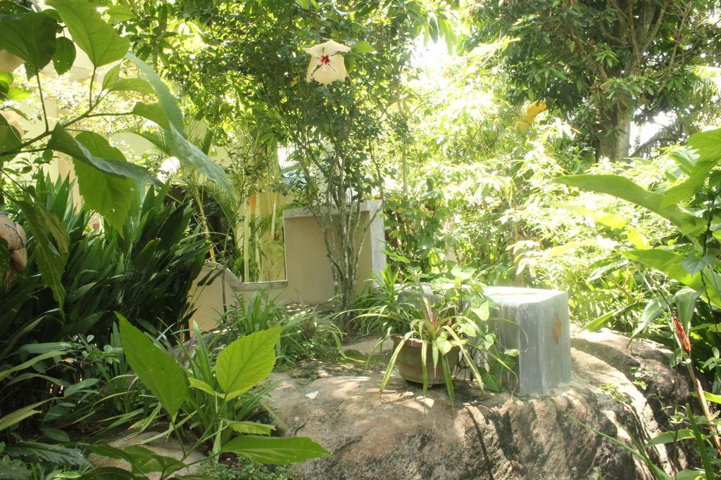 אונה ואטונה Dionis Villa מראה חיצוני תמונה