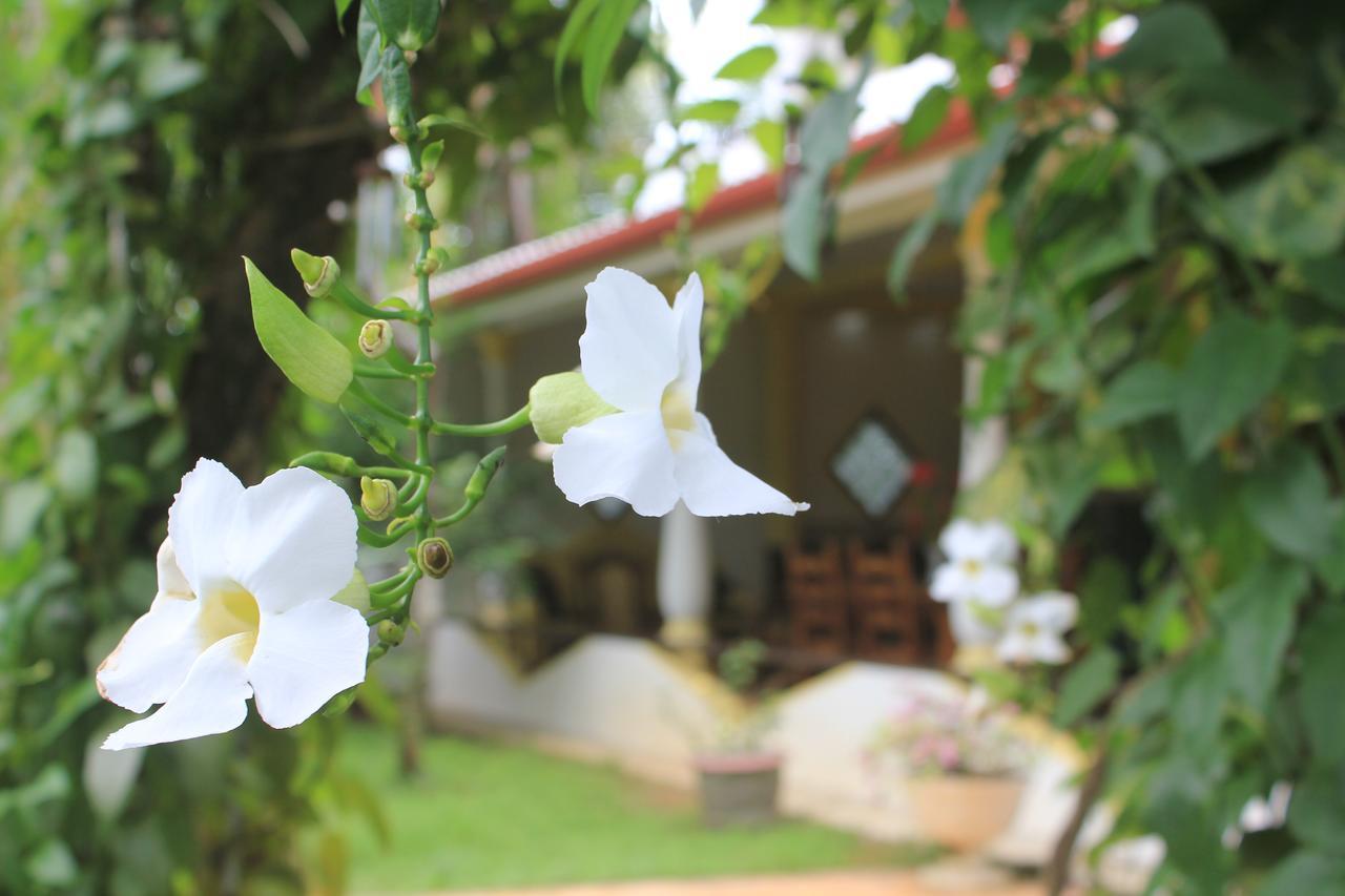 אונה ואטונה Dionis Villa מראה חיצוני תמונה
