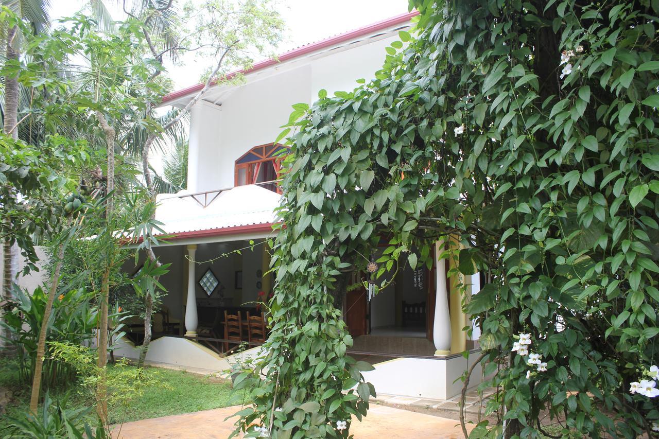 אונה ואטונה Dionis Villa חדר תמונה